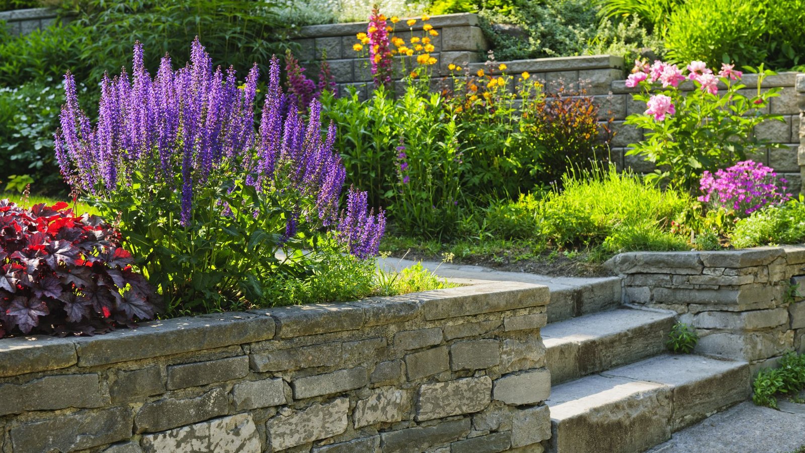 Innovative Retaining Wall Ideas For Small Gardens In NZ